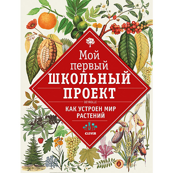 

Энциклопедия "Мой первый школьный проект" Как устроен мир растений