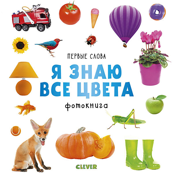 

Фотокнига-игра "Первые слова" Я знаю все цвета