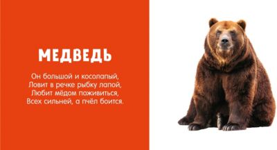 Фото Книга Животные