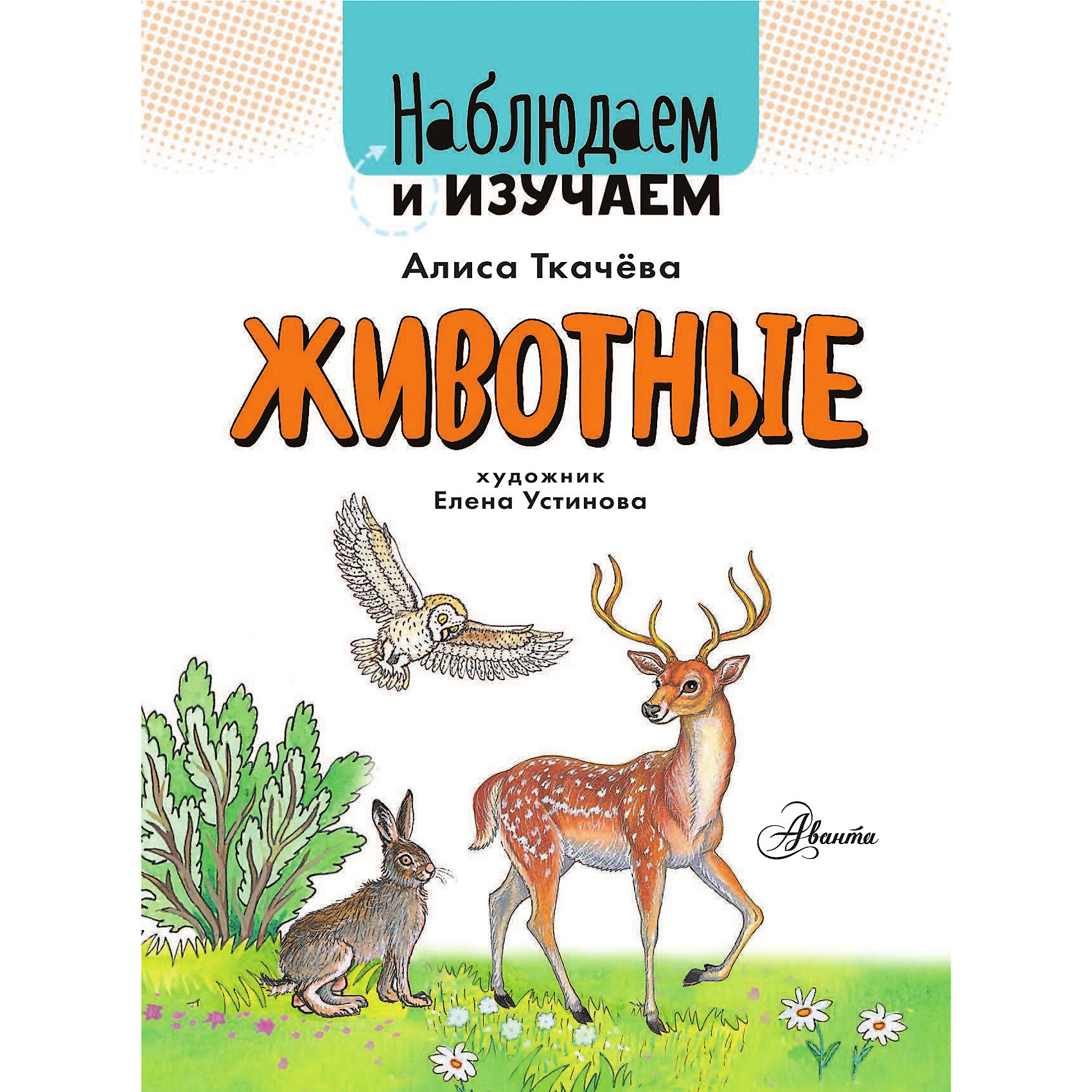 Лесные этажи для дошкольников. Человек фотографирует животных. Зверев а т экология наблюдаем изучаем. Наблюдение за животными. Наблюдаем и изучаем животные.