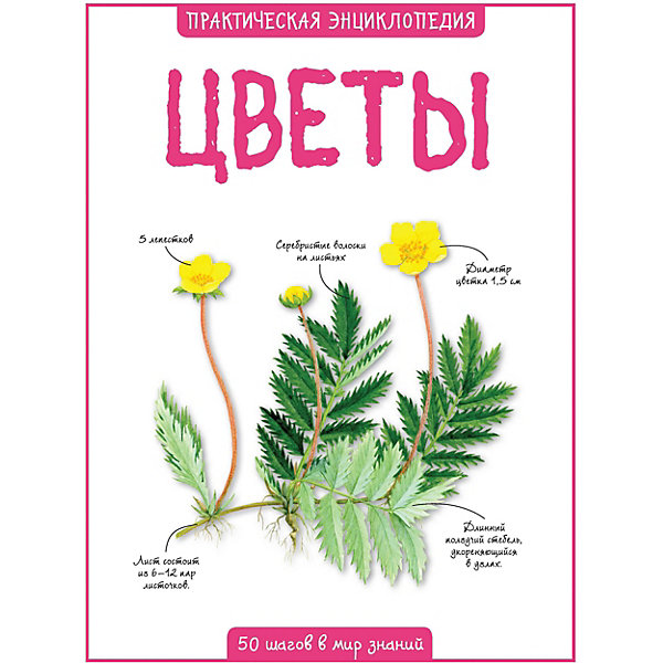 

Энциклопедия Махаон "Цветы, Энциклопедия Махаон "Цветы"