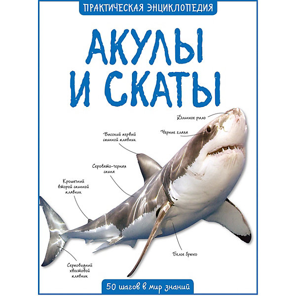 

Энциклопедия Махаон "Акулы и скаты"