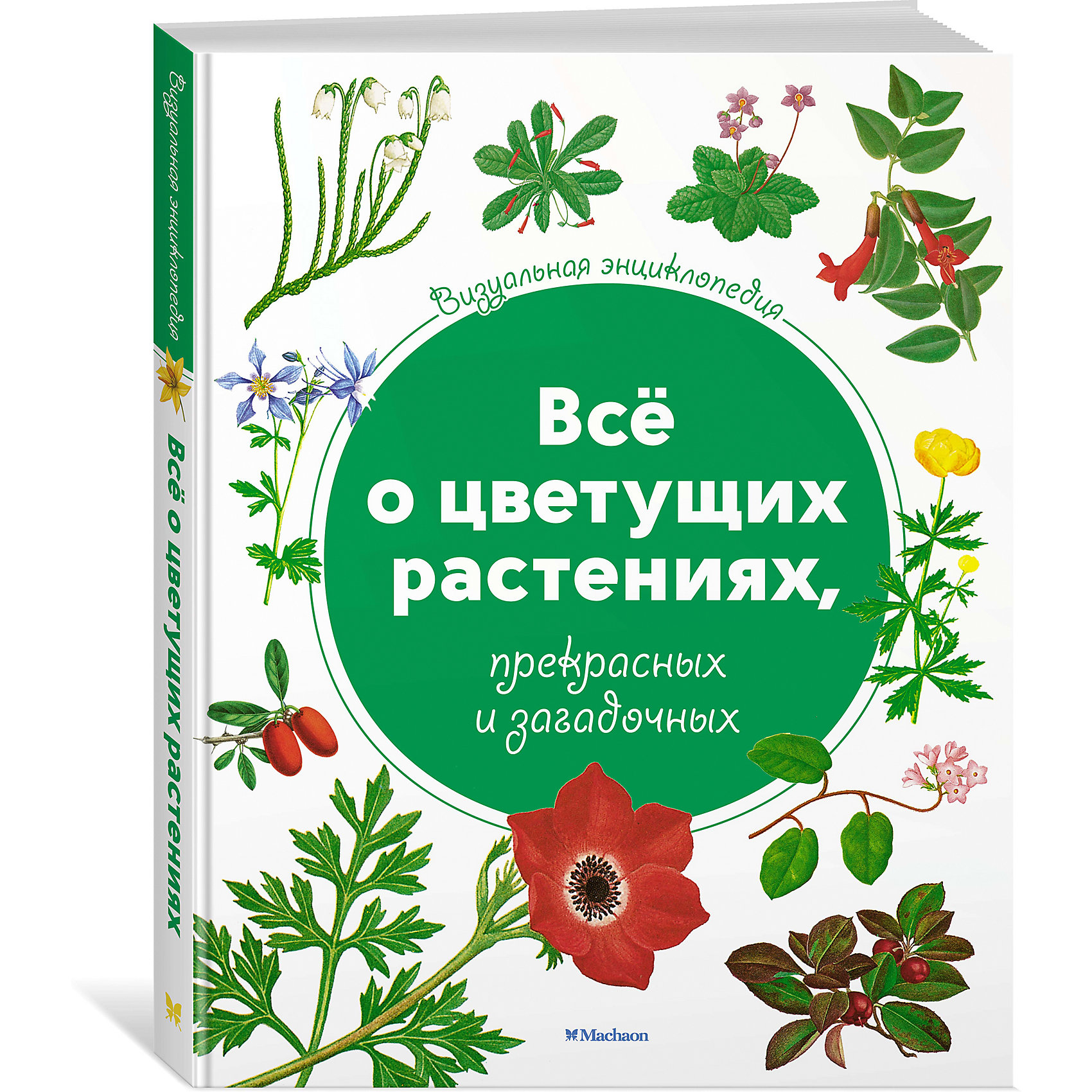 фото Визуальная энциклопедия Махаон "Всё о цветущих растениях, прекрасных и загадочных"