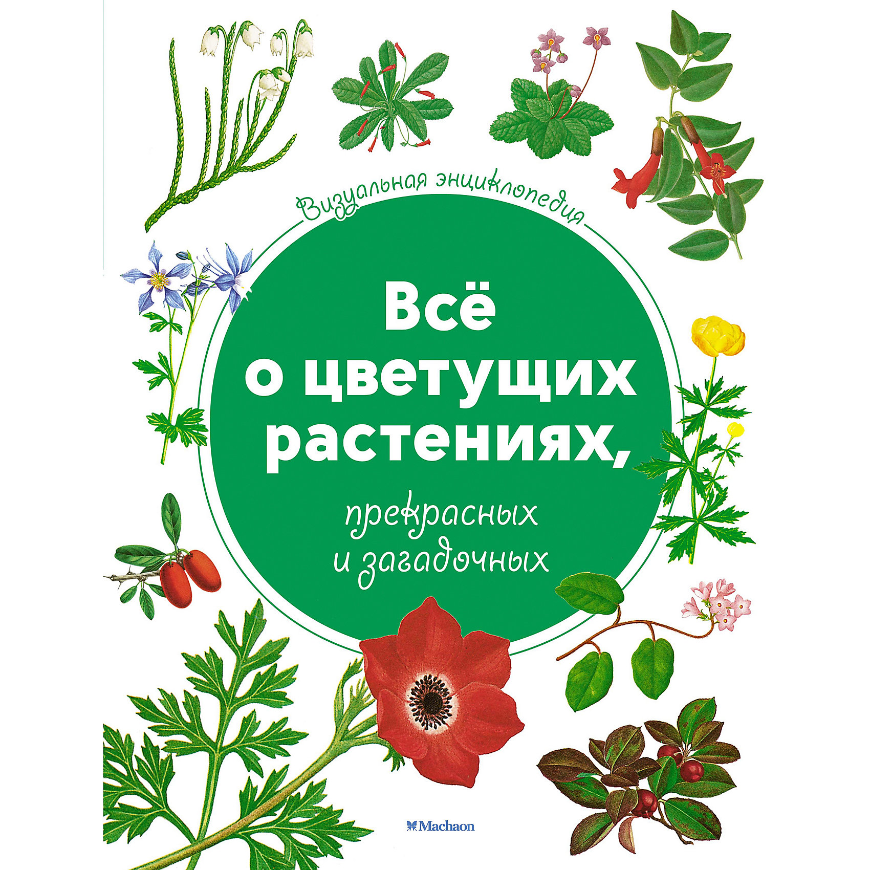 фото Визуальная энциклопедия Махаон "Всё о цветущих растениях, прекрасных и загадочных"