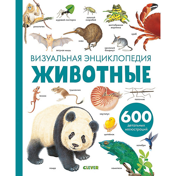 

Визуальная энциклопедия "Животные", Бадреддин Д.