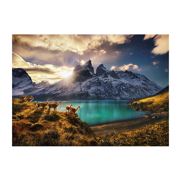 

Пазл Heye Nature "Гуанако", 1000 деталей