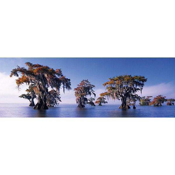 фото Пазл Heye "Затопленные кипарисы", 1000 деталей, панорама