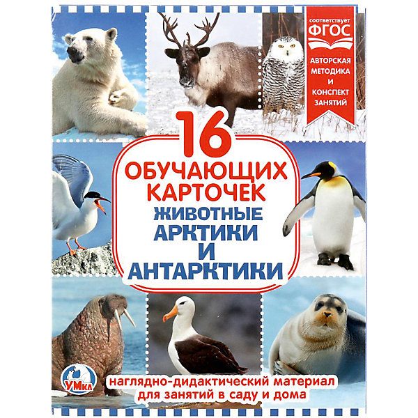 

Обучающие карточки Умка «Животные Арктики и Антарктиды»