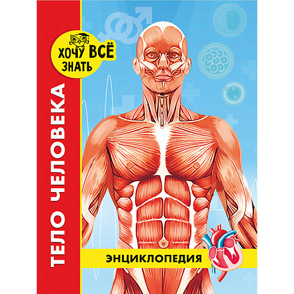 

Энциклопедия "Хочу все знать", Тело человека