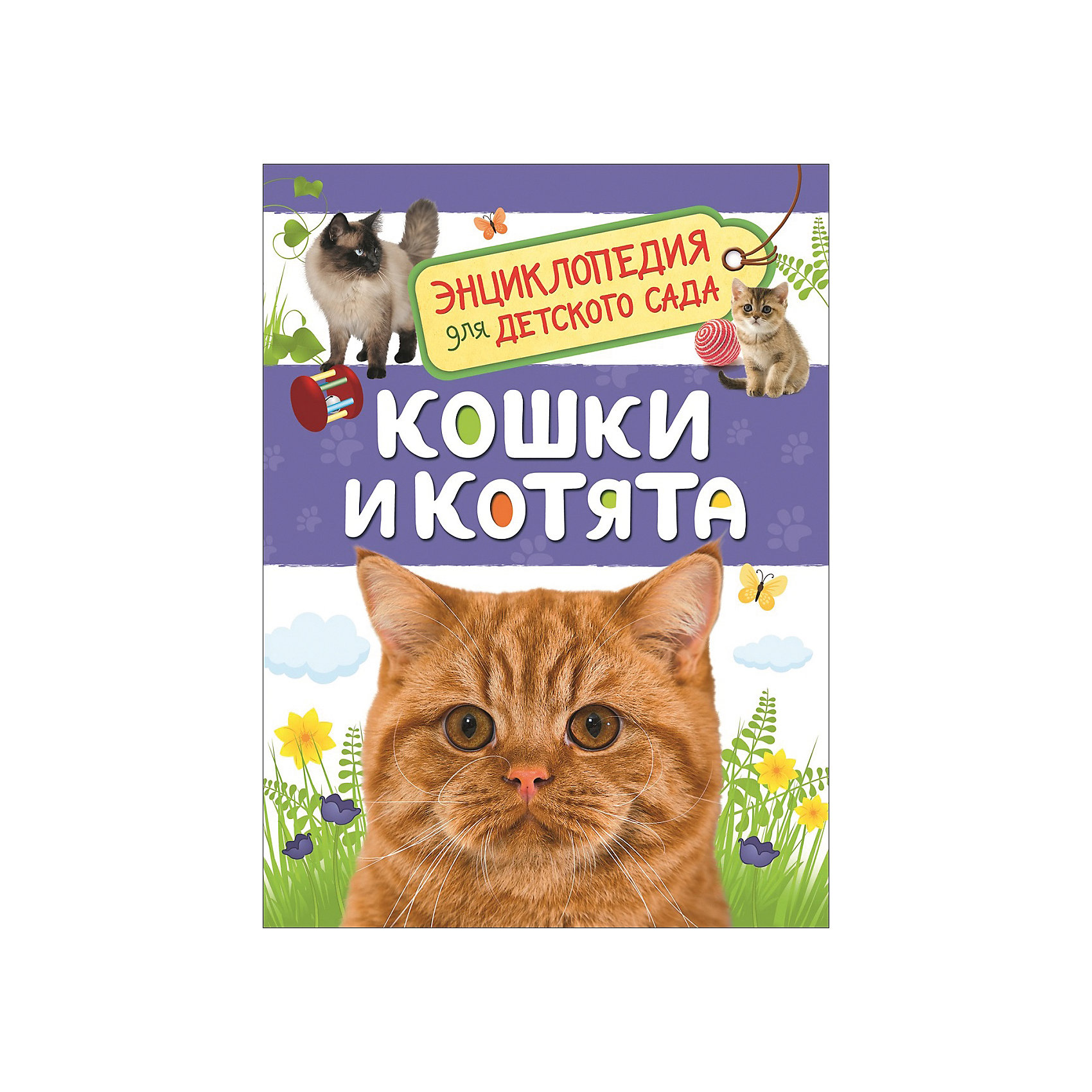 фото Энциклопедия для детского сада "Кошки и котята" Росмэн