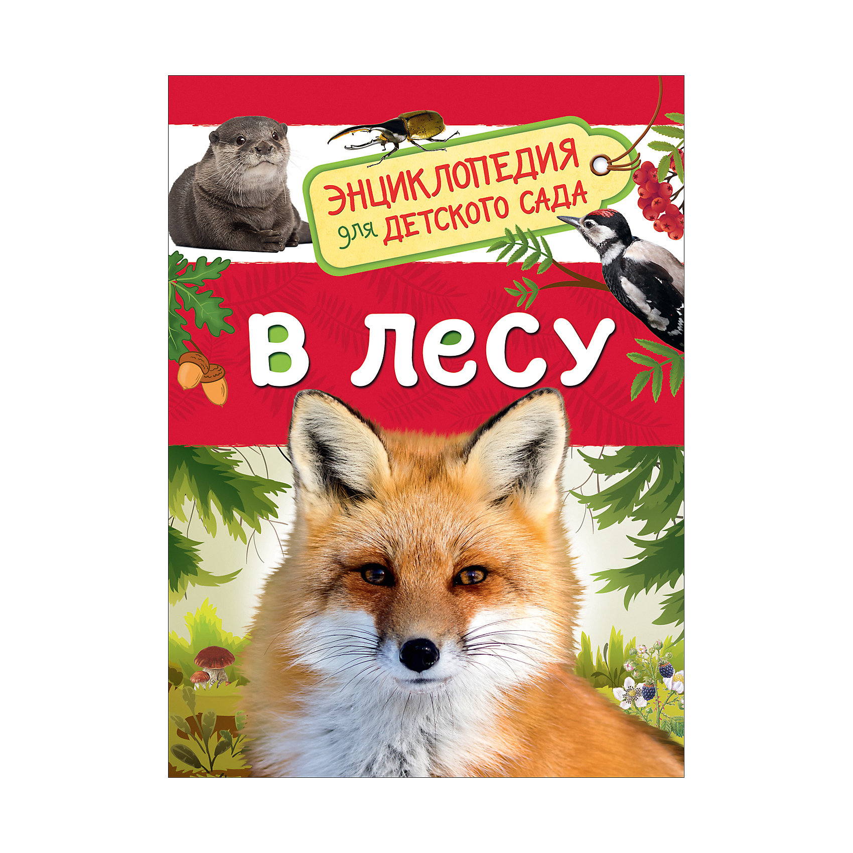 фото Энциклопедия для детского сада "В лесу" Росмэн