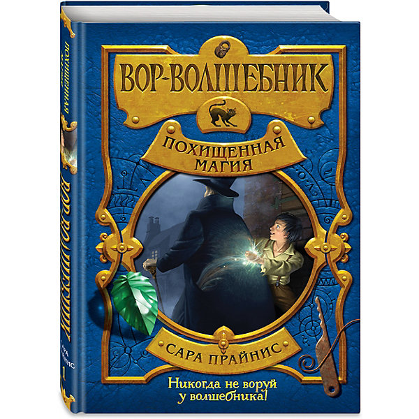 

Книга "Вор-волшебник" Похищенная магия, Сара Прайнис