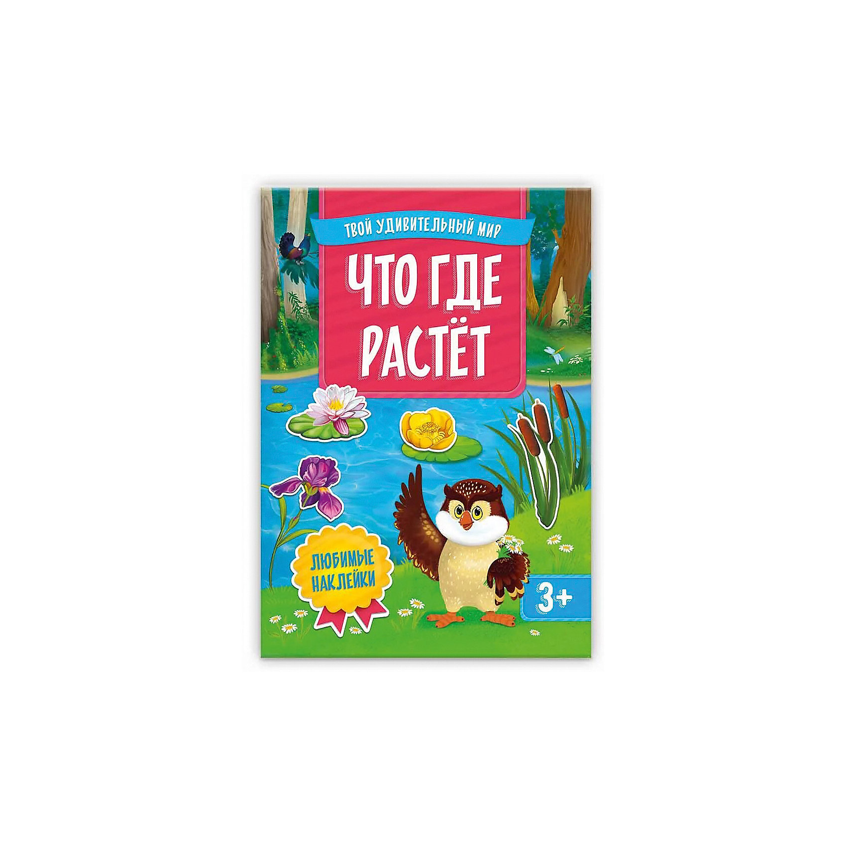 

Книжка с наклейками Геодом «Что где растет» Серия «Твой удивительный мир