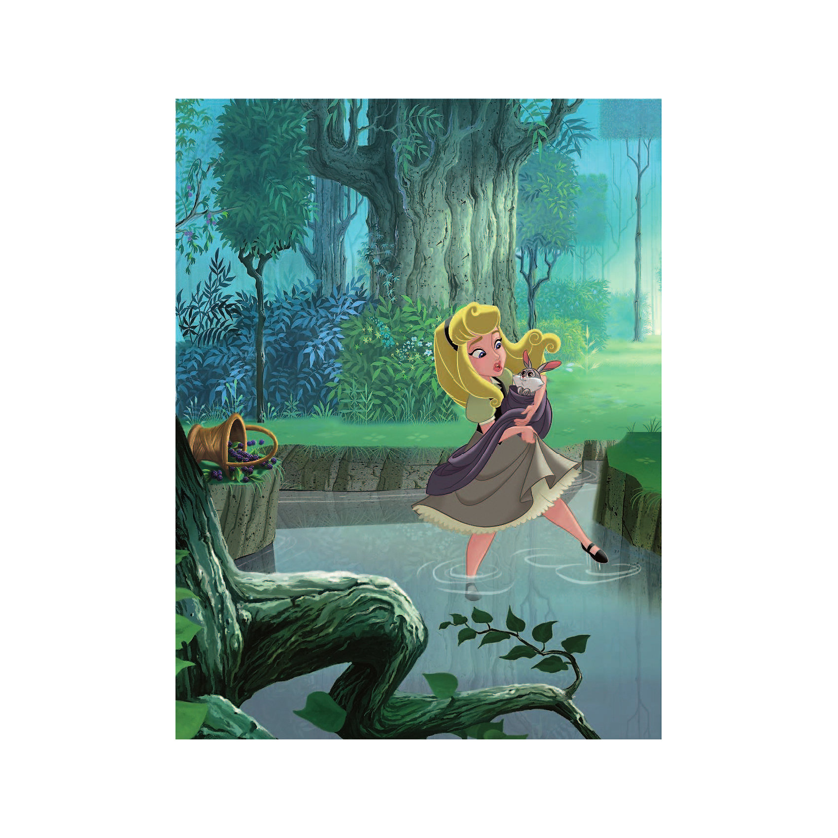 фото Сказка "Аврора выходит на сцену" Disney Принцесса, Рол Т. Издательство аст