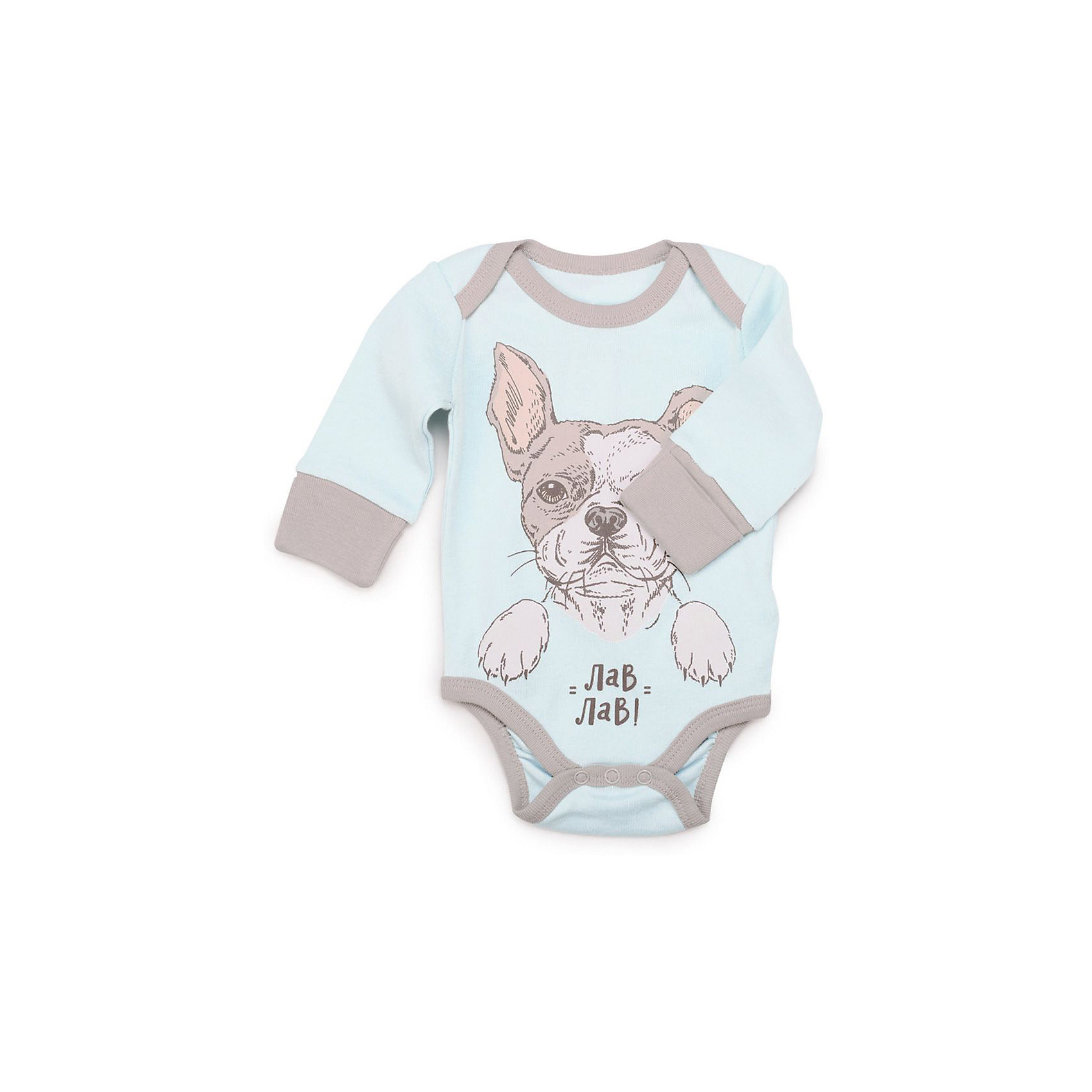 

Боди 2 шт Happy Baby для мальчика, Голубой