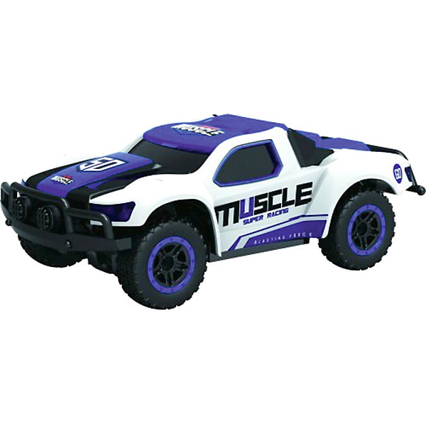 

Раллийная машина 1Toy "Драйв" на радиоуправлении, голубая, Голубой