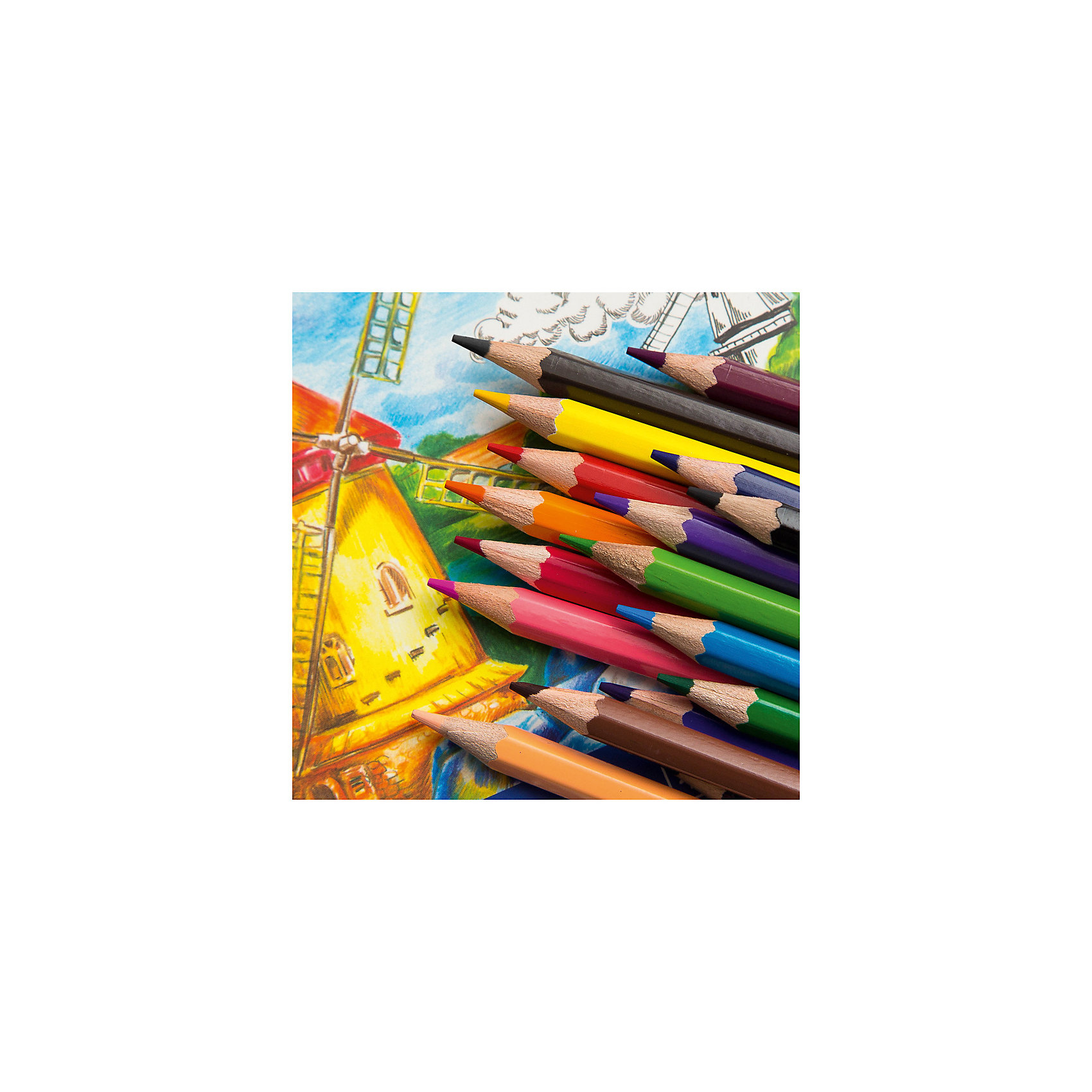 Цветные карандаши в пенале. Карандаши гамма. Цветные карандаши Jovi 18 цветов. Масляные карандаши гамма. Карандаши цветные с чёлкой гамма.