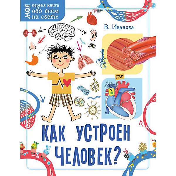

Моя первая книга обо всем на свете "Как устроен человек", Иванова В.