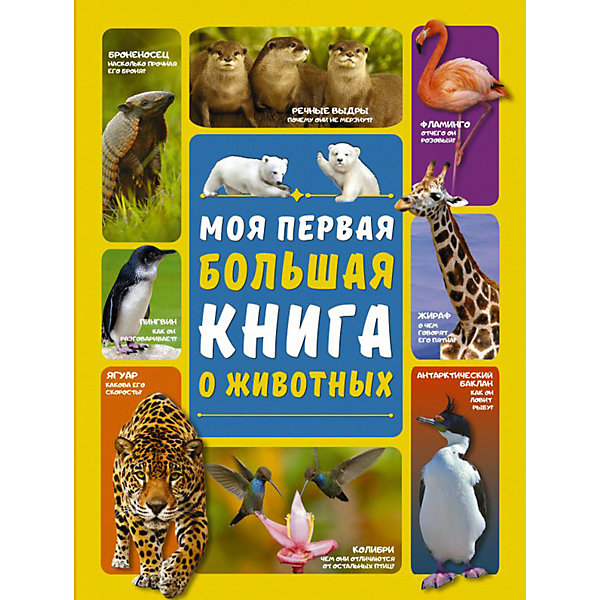 

Моя первая большая книга о животных