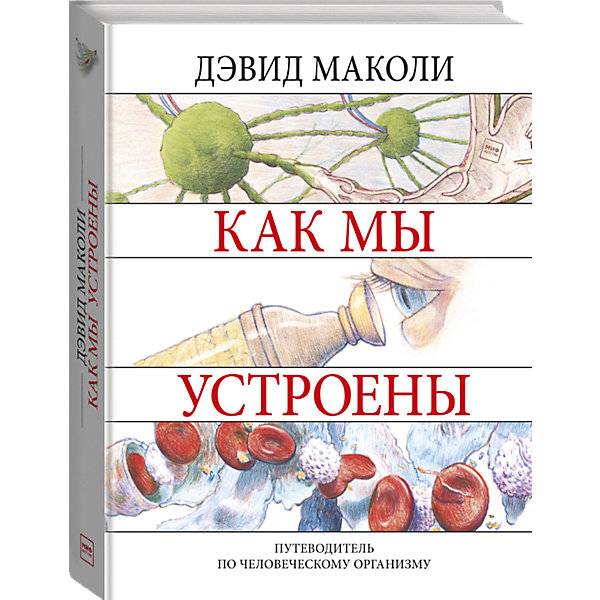 фото Энциклопедия "Как мы устроены" Манн, иванов и фербер