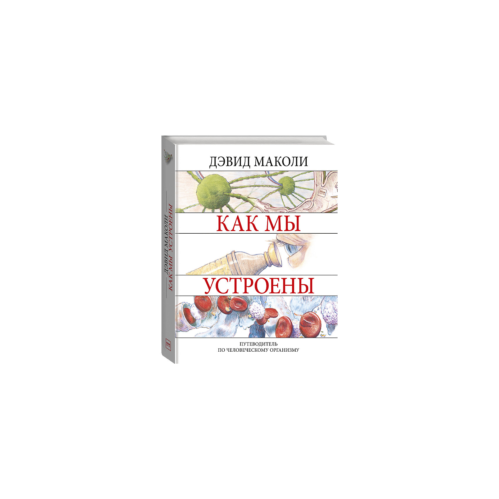 фото Энциклопедия "Как мы устроены" Манн, иванов и фербер