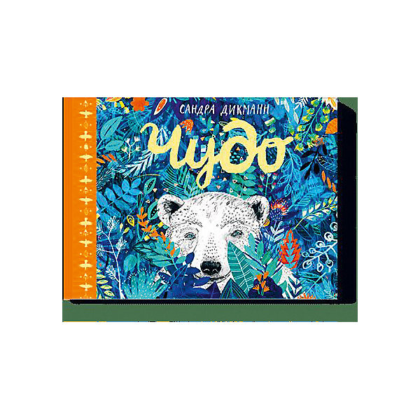 

Книга "Чудо, Книга "Чудо"