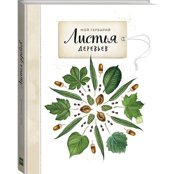 

Книга Мой гербарий "Листья деревьев"
