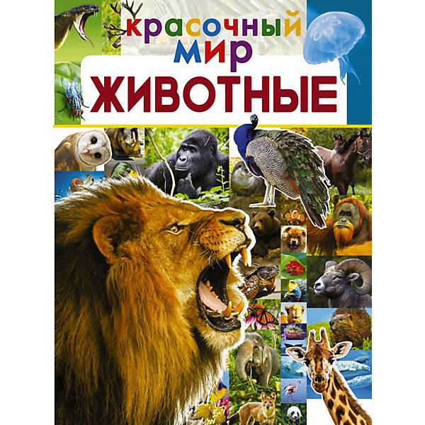 

Энциклопедия Красочный мир "Животные, Энциклопедия Красочный мир "Животные"