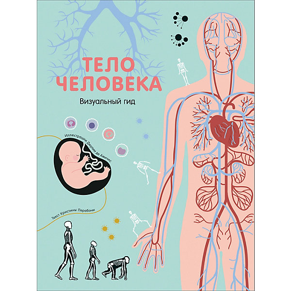 

Энциклопедия "Тело человека. Визуальный гид", Перабони К.