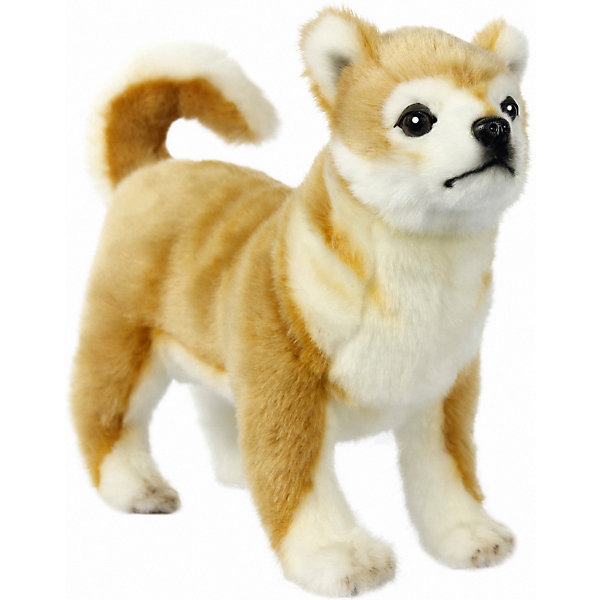 

Мягкая игрушка Hansa "Щенок Сиба-ину", 30 см, Beige/weiß