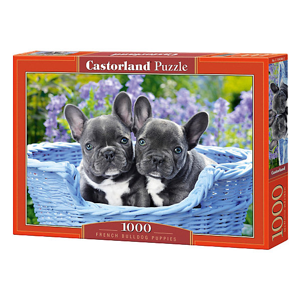 

Пазл Castorland "Щенки французского бульдога", 1000 деталей