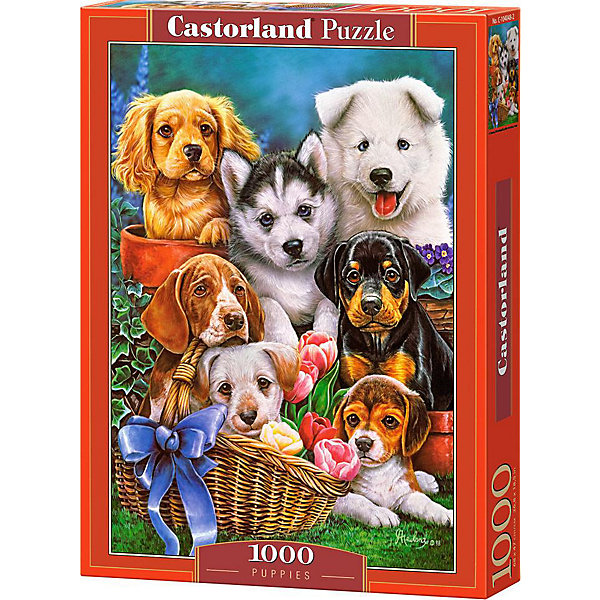 

Пазл Castorland "Щенки", 1000 деталей