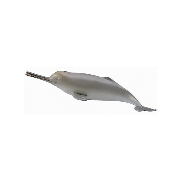 Коллекционная фигурка Гангский речной дельфин, M Collecta 13362033