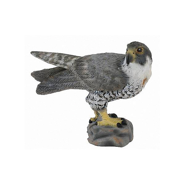 

Коллекционная фигурка Collecta Сокол, S