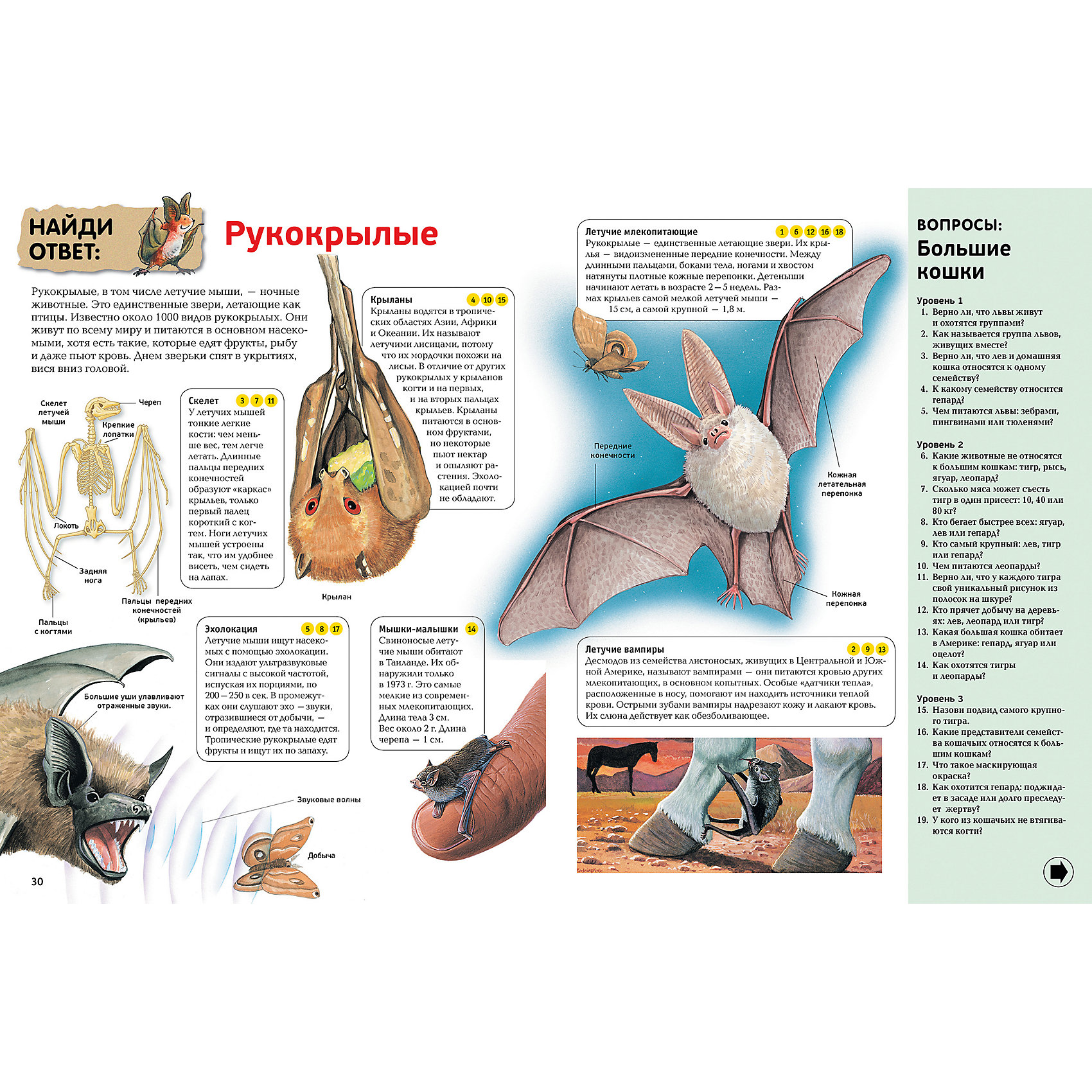 фото Интерактивная энциклопедия для школьников Махаон