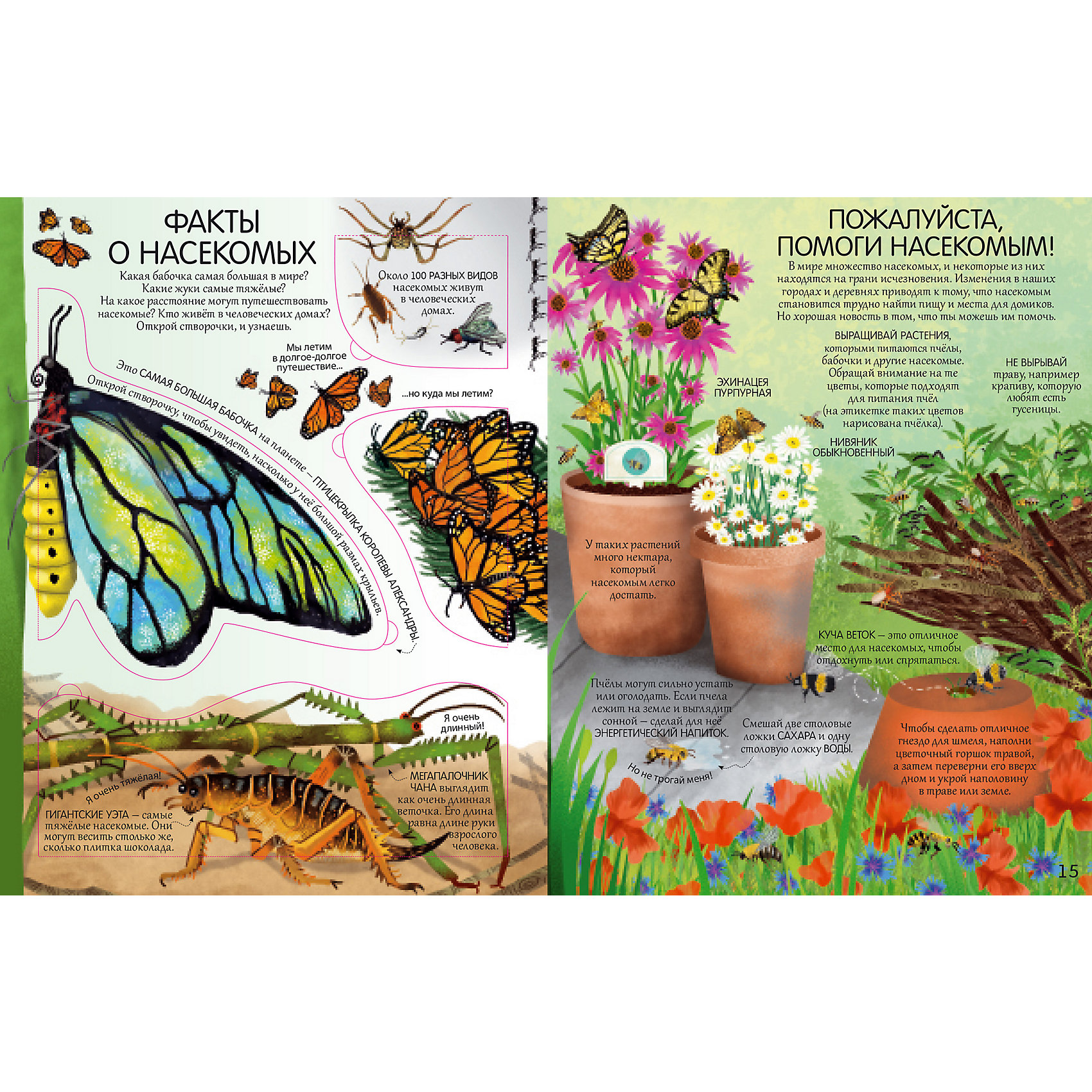 фото Книга с окошками "открой тайны. жуки и бабочки" робинс