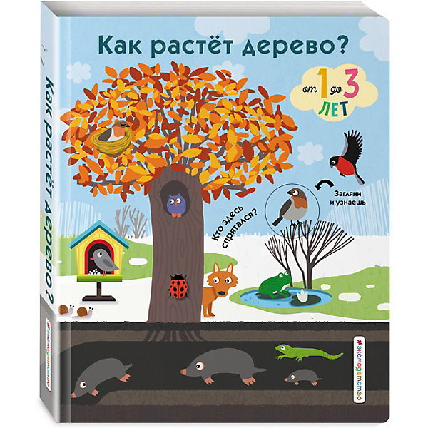 

Книжка с окошками "Как растет дерево, Книжка с окошками "Как растет дерево"