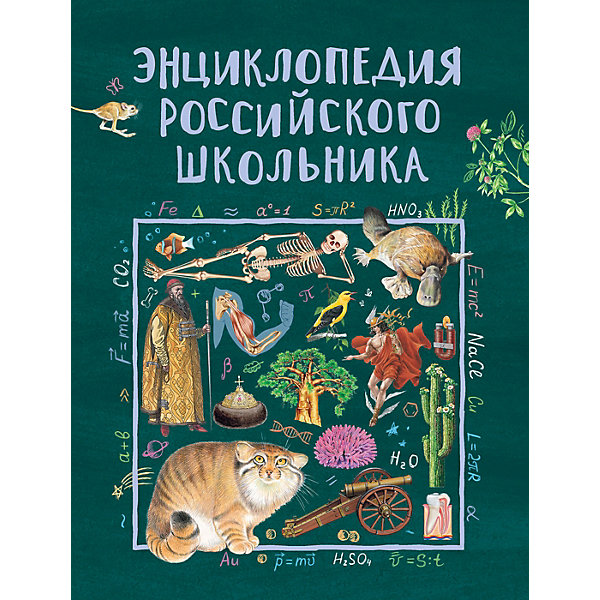 

Энциклопедия российского школьника