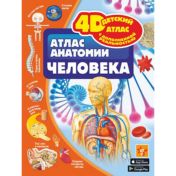 

4D-атлас анатомии человека, с дополненной реальностью
