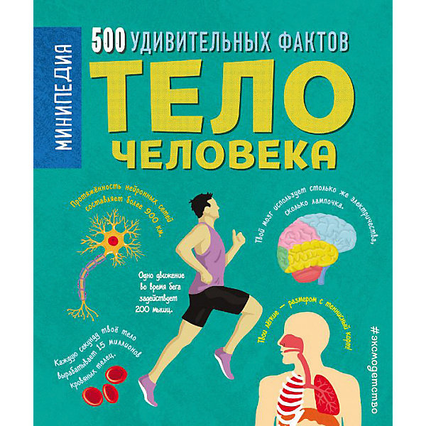 

Энциклопедия "Минипедия" Тело человека. 500 удивительных фактов