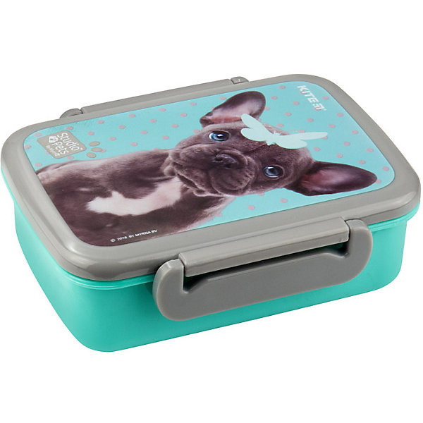 

Ланчбокс Kite Studio Pets, 420 мл, Разноцветный, Ланчбокс Kite Studio Pets, 420 мл