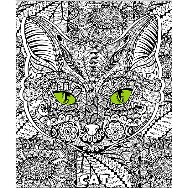 

Комплект тетрадей Hatber Dooldle-Art, 48 листов