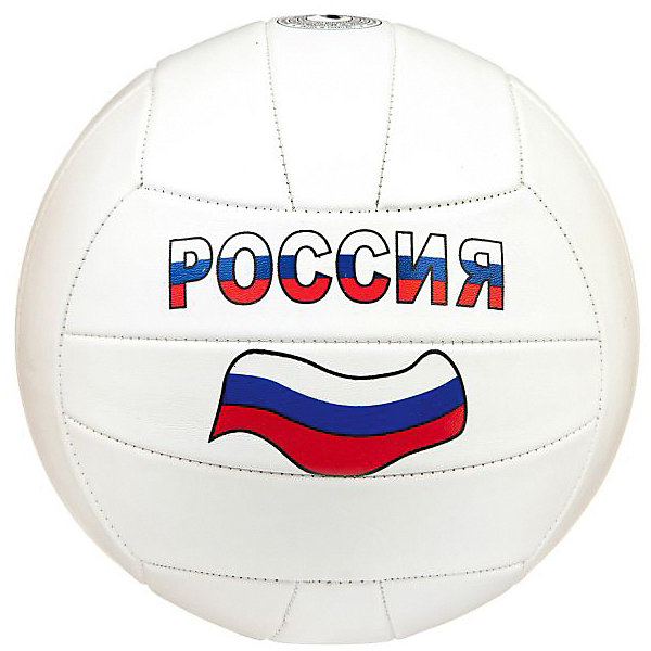 

Волейбольный мяч Россия