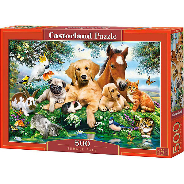 

Пазл Castorland Приятели, 500 деталей