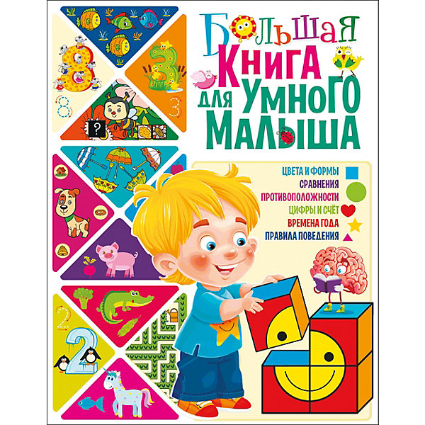 

Большая книга для умного малыша