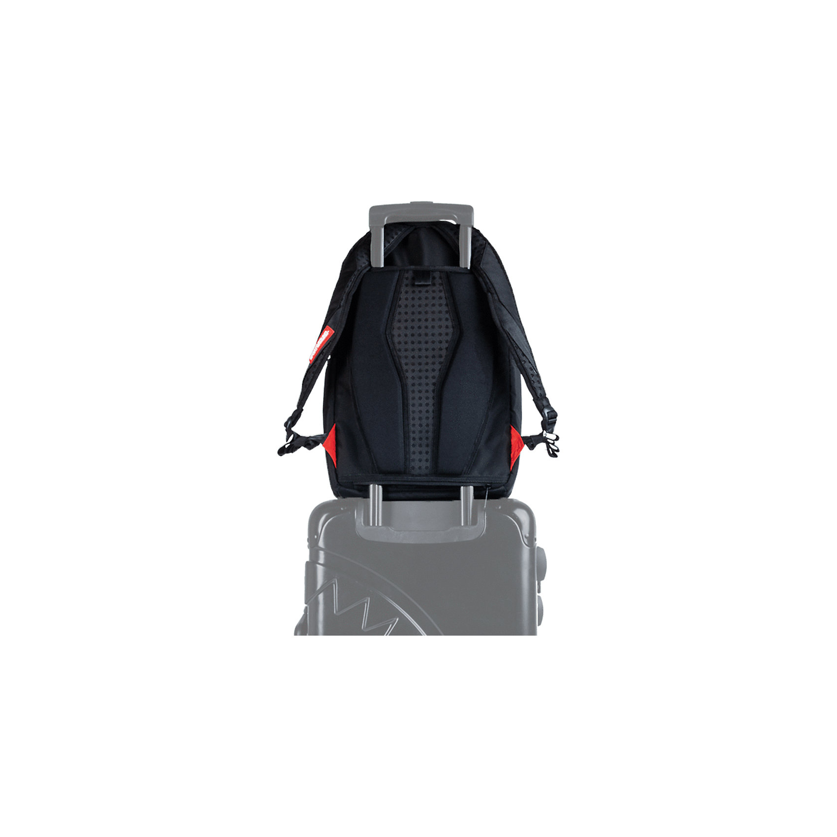 фото Рюкзак sprayground pitbulls backpack