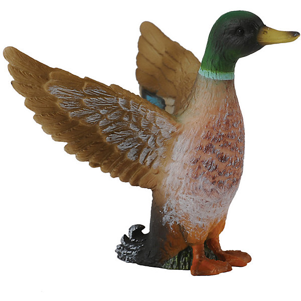 

Фигурка Collecta "Дикий селезень", S