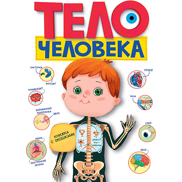 

Книжка с окошками "Тело человека, Книжка с окошками "Тело человека"