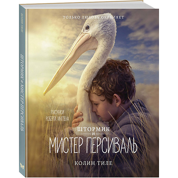 

Повесть Штормик и мистер Персиваль, Тиле К, Повесть Штормик и мистер Персиваль, Тиле К.