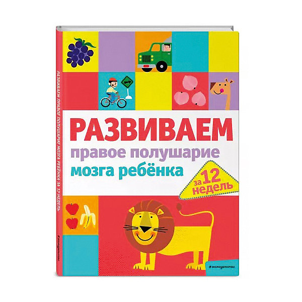 

Развиваем правое полушарие мозга ребенка за 12 недель
